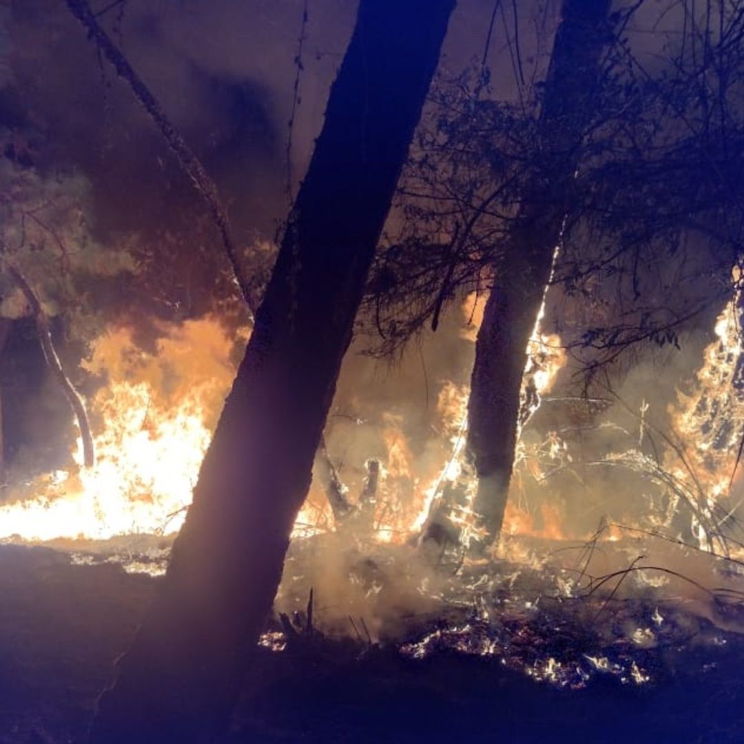 Incendios Alertan a Poblaciones de Atizapán, Valle de Bravo, Jilotzingo y Naucalpan, Edomex