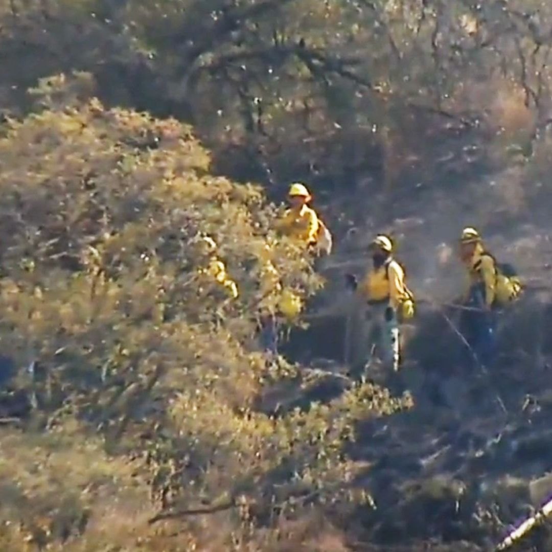 Tras 72 Horas, Sofocan en Su Totalidad Incendios Forestales en Atizapán, Edomex