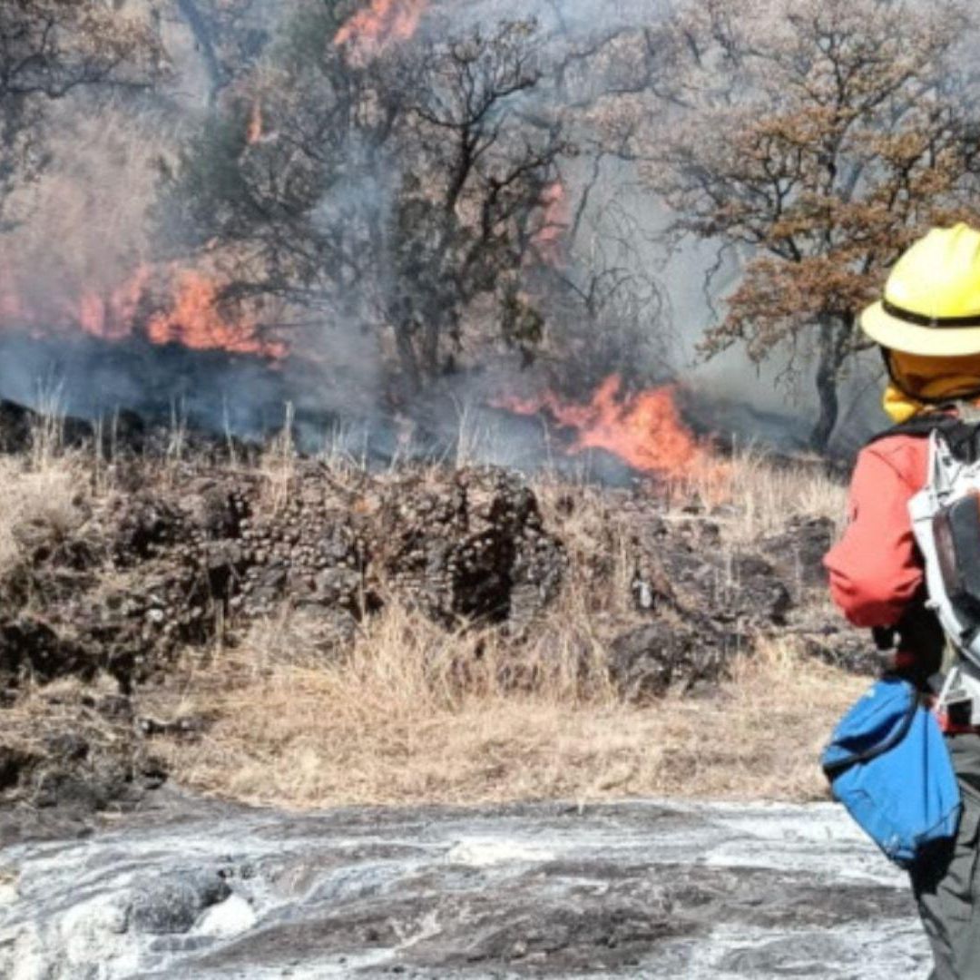 Bomberos Controlan Incendio Forestal en Yécora; Dejó Más de 700 Hectáreas Afectadas