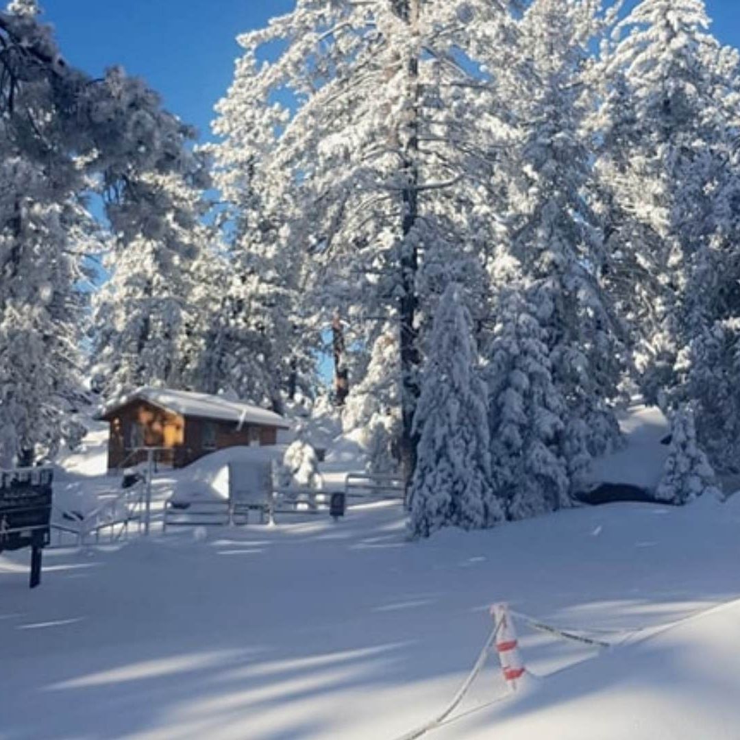 Parque Nacional San Pedro Mártir cierra tras fuertes nevadas en la zona