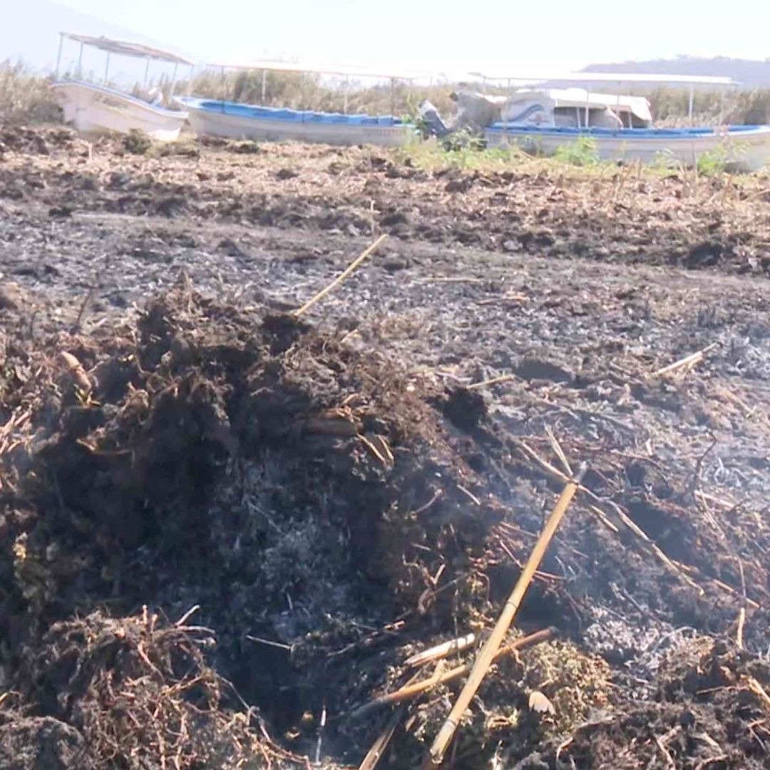 Incendio Consume Más de 70 Hectáreas de Lirio en la Laguna de Yuriria. Foto: Omar Cano