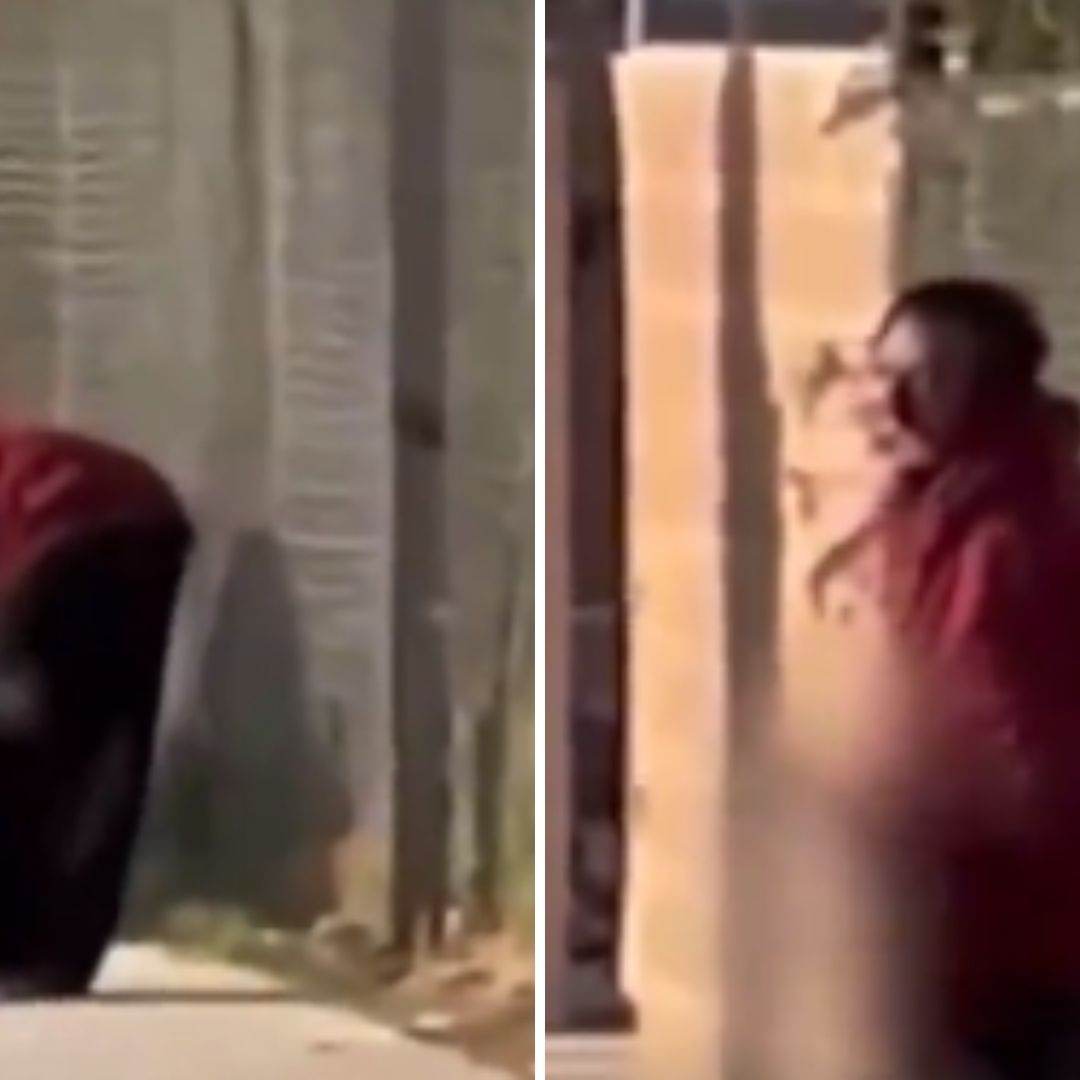 Video: Hombre Come Pierna de Mujer Atropellada por un Tren