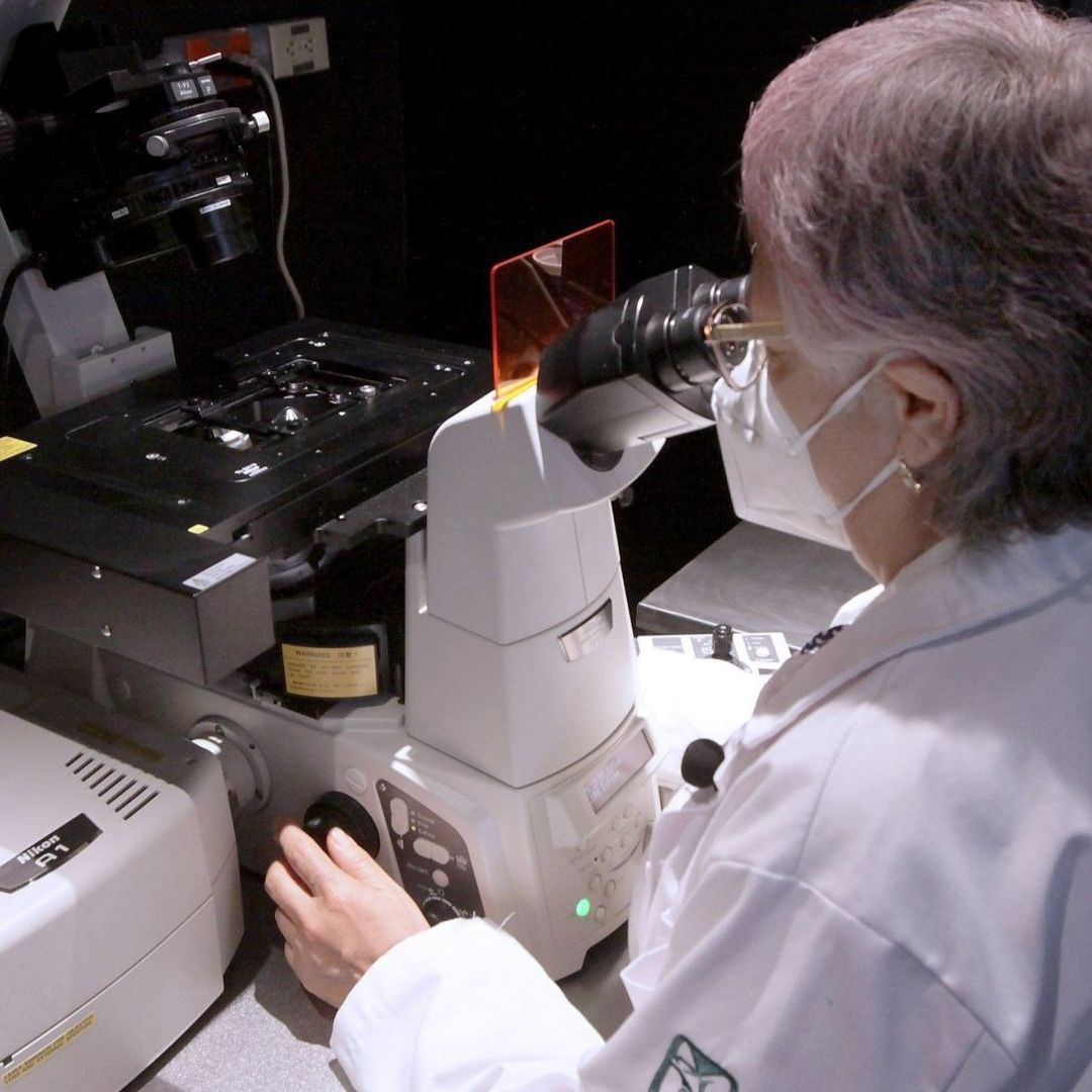 El lunes 1 de abril, la Secretaría de Salud confirmó el resultado positivo a Influenza A (H5N1) en una niña. Foto: Cuartoscuro