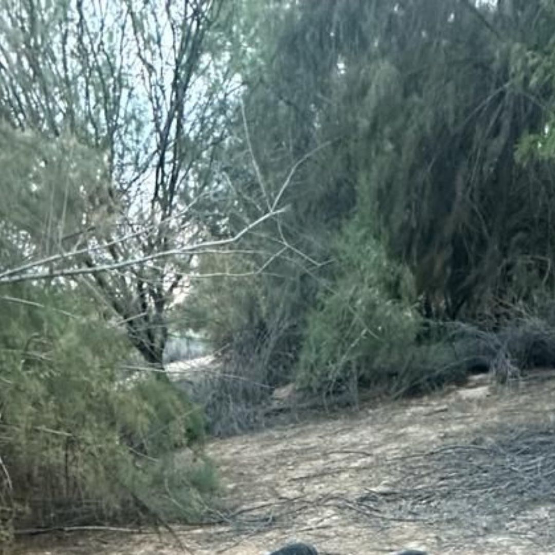 Encuentran Cuerpo Degollado en Ejido Michoacán de Ocampo en Valle de Mexicali