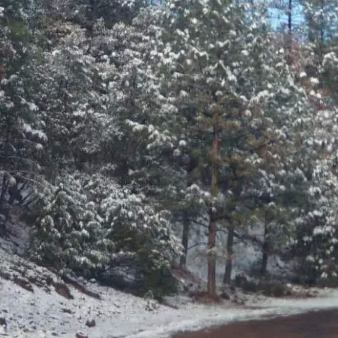 Registran Nevadas en Zonas de Chihuahua Durante Primavera del 2025