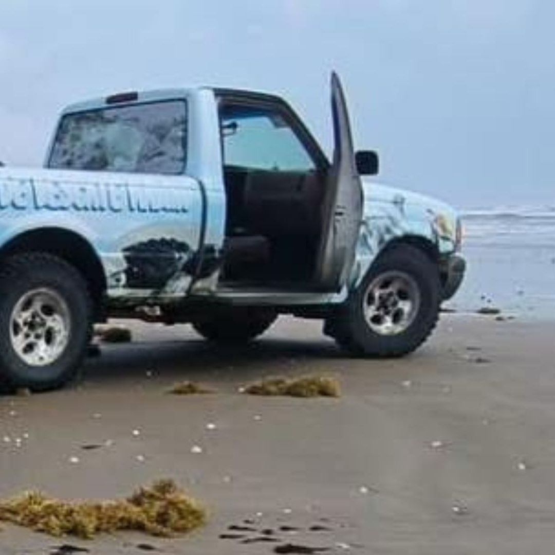 Encuentran Tortuga Sin Vida en Playa de Matamoros Envuelta en una Malla Pesquera