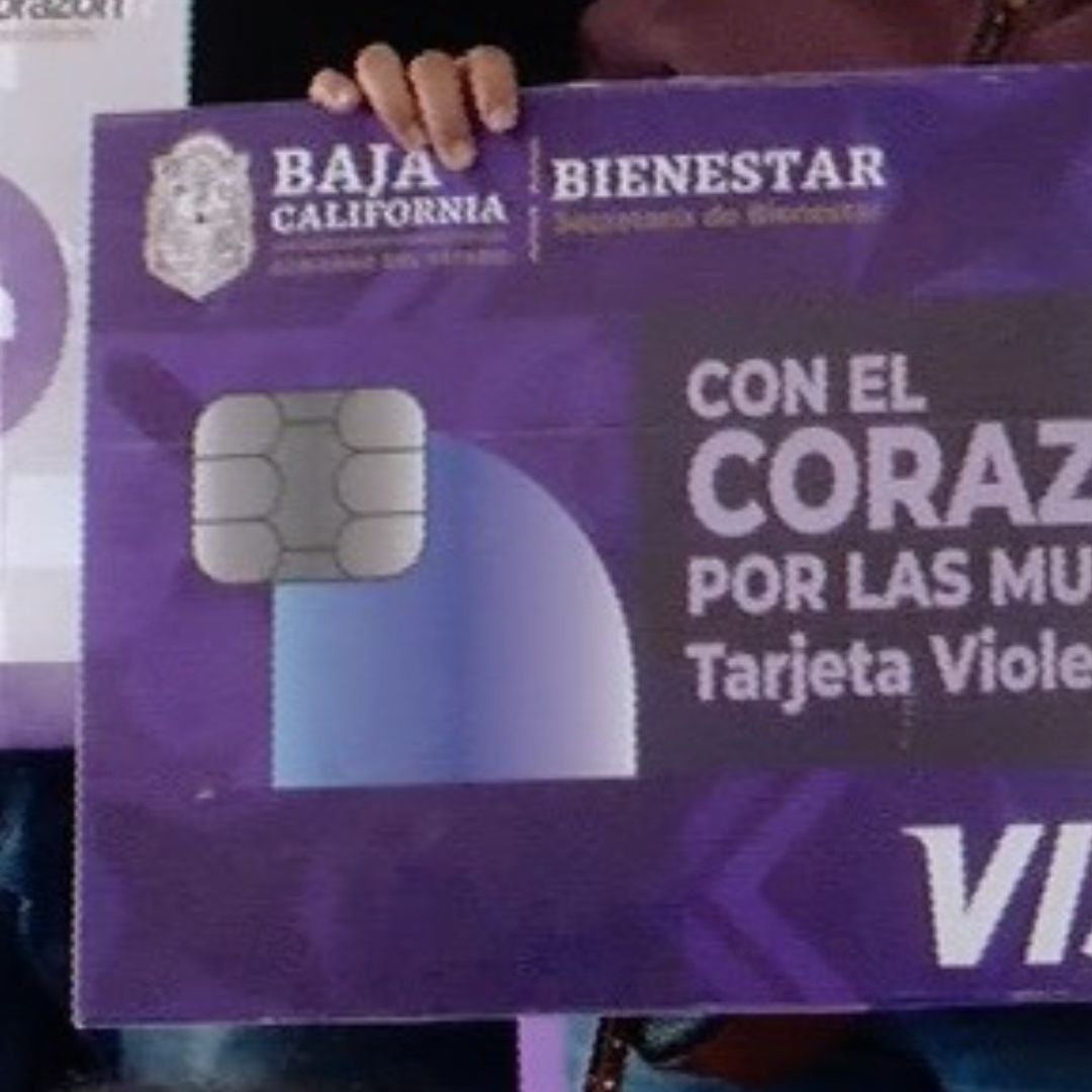 Aprueban Elevar a Rango Constitucional la “Tarjeta Violeta” en Baja California
