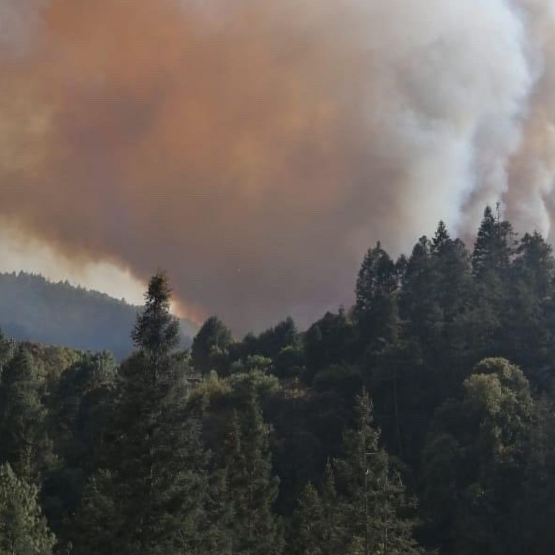 Incendios forestales en Jilotzingo, Estado de México
