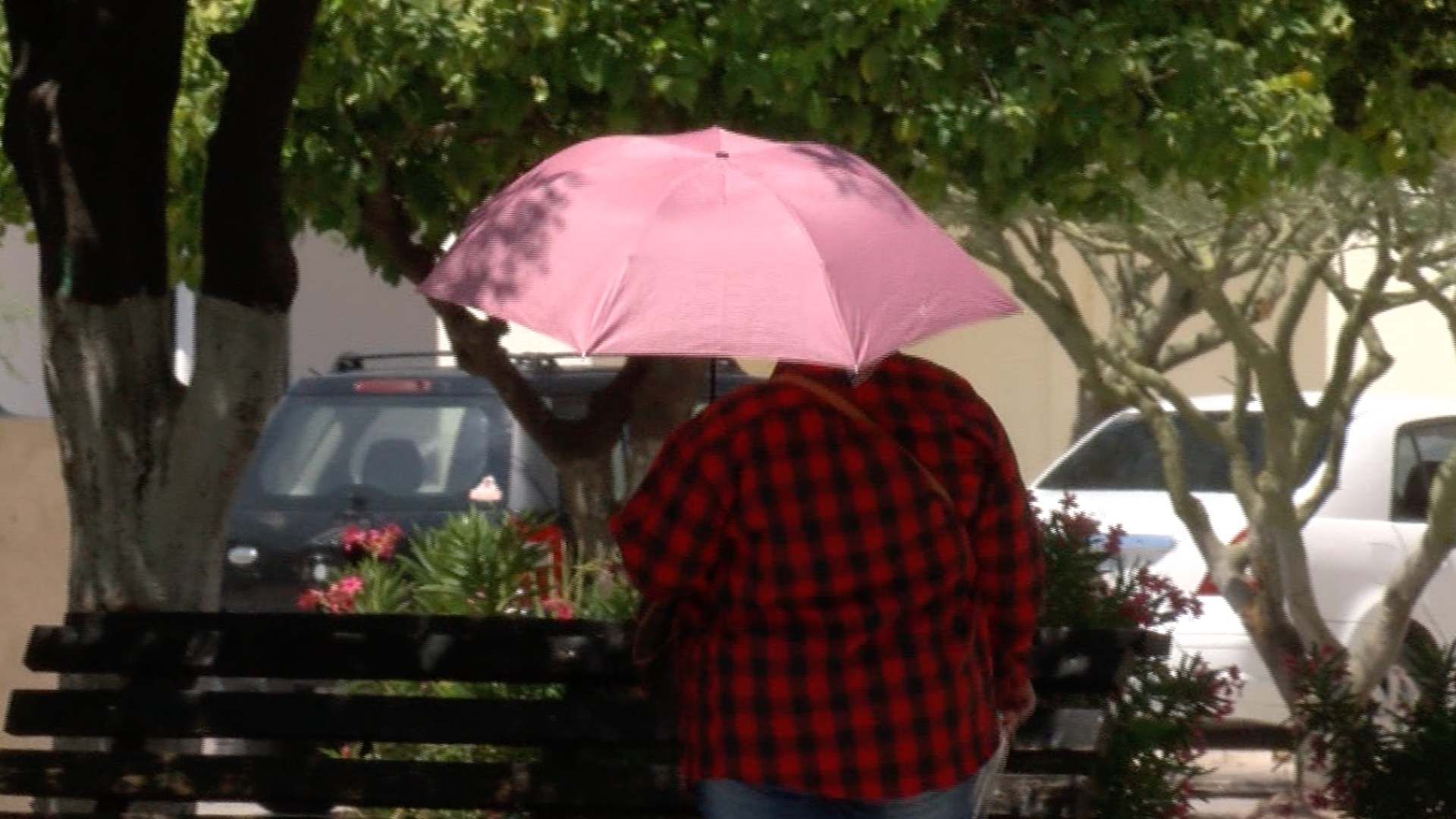 Calor en Sonora Abril 2025: ¿Qué Días Previos a Semana Santa Habrá Temperaturas de 40 Grados?