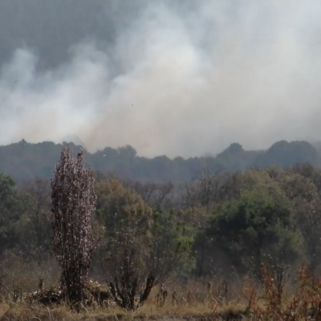Recomendaciones para prevenir incendios forestales. Foto: Eduardo Bravo | N+