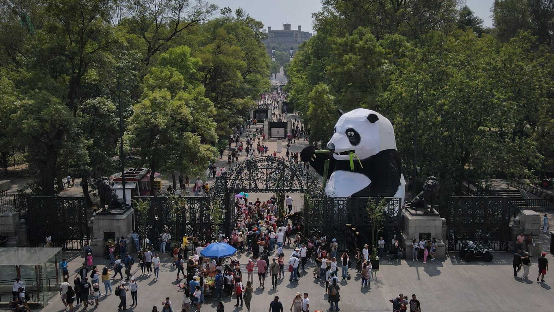 Bosque de Chapultepec