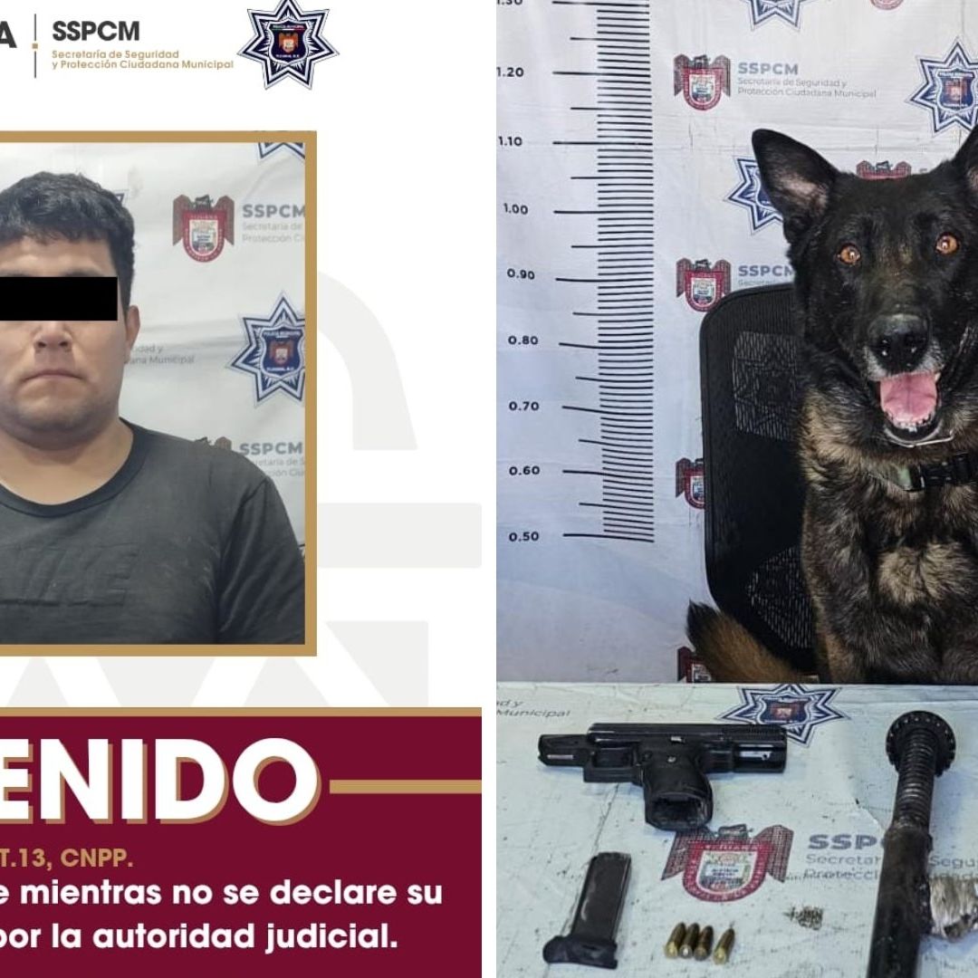 Unidad K9 Clave en Captura de Sujeto Armado en Operativo en Tijuana