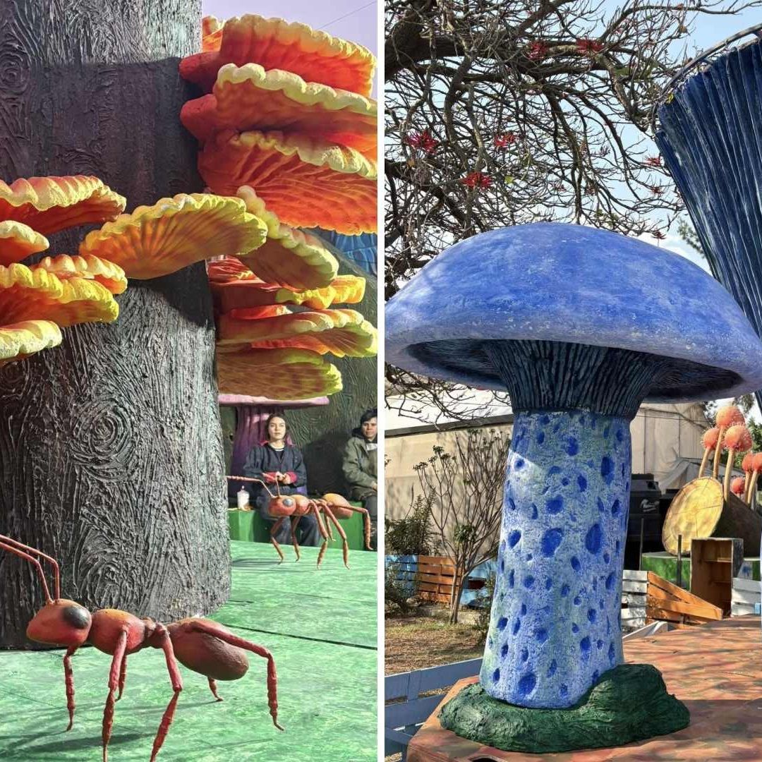Spora 2025: Así Será el Festival con Hongos Gigantes en el Bosque de Chapultepec