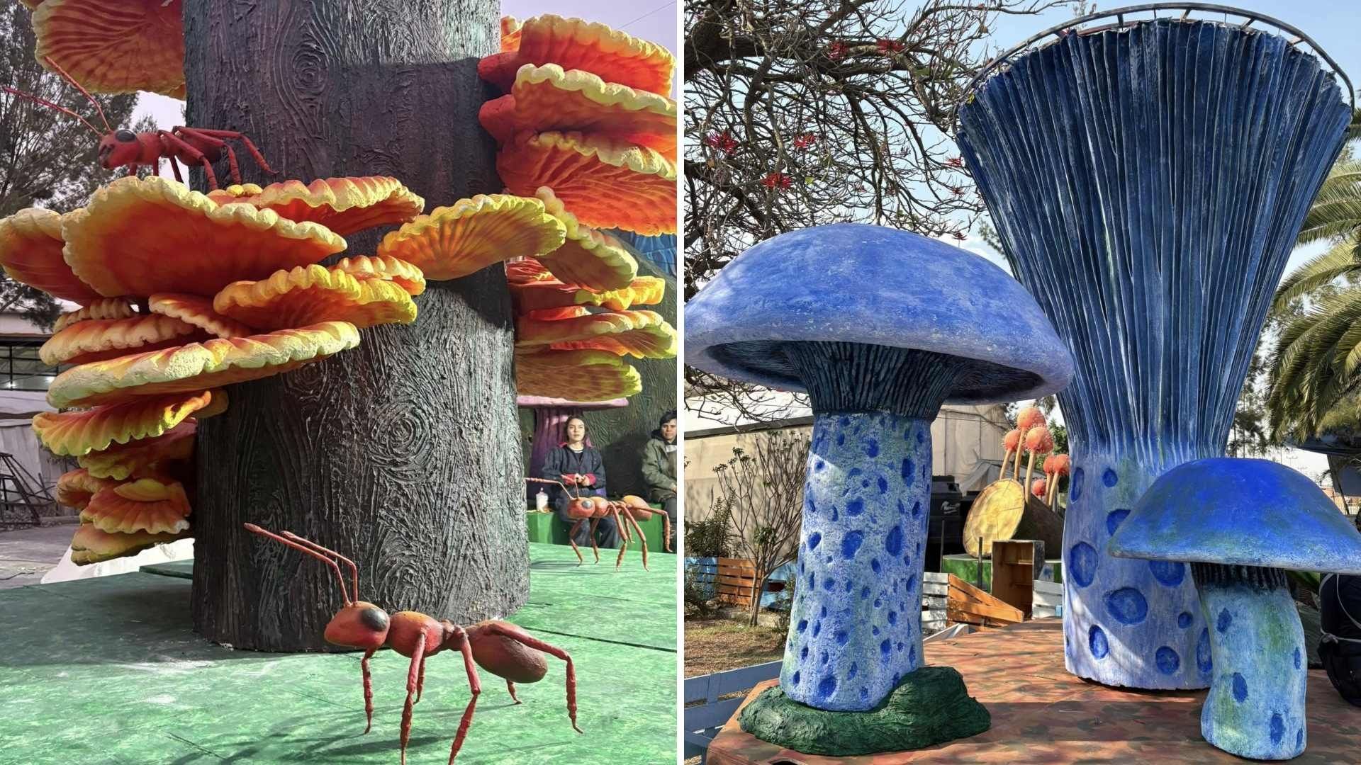Spora 2025: Así Será el Festival con Hongos Gigantes en el Bosque de Chapultepec