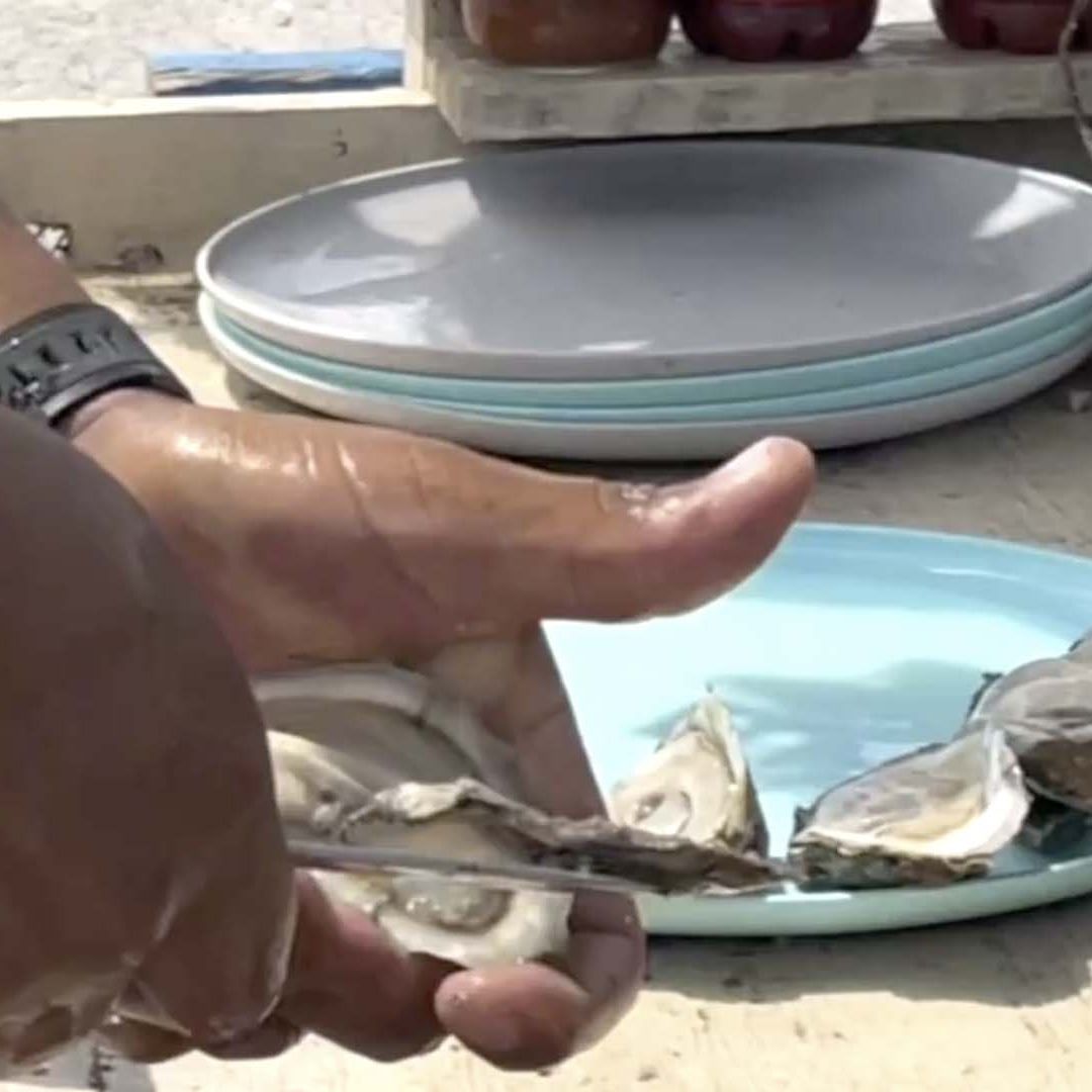 No Comer Ostiones en Playas de Matamoros durante Semana Santa, Advierte Coepris