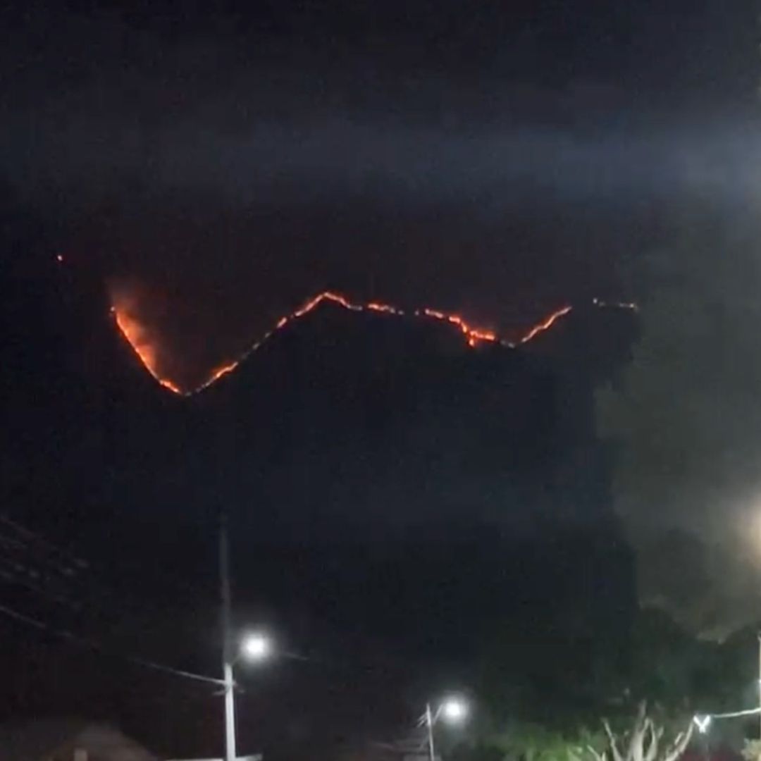 Incendio forestal en Acultzingo, altas montañas: contabilizan 1450 hectáreas afectadas