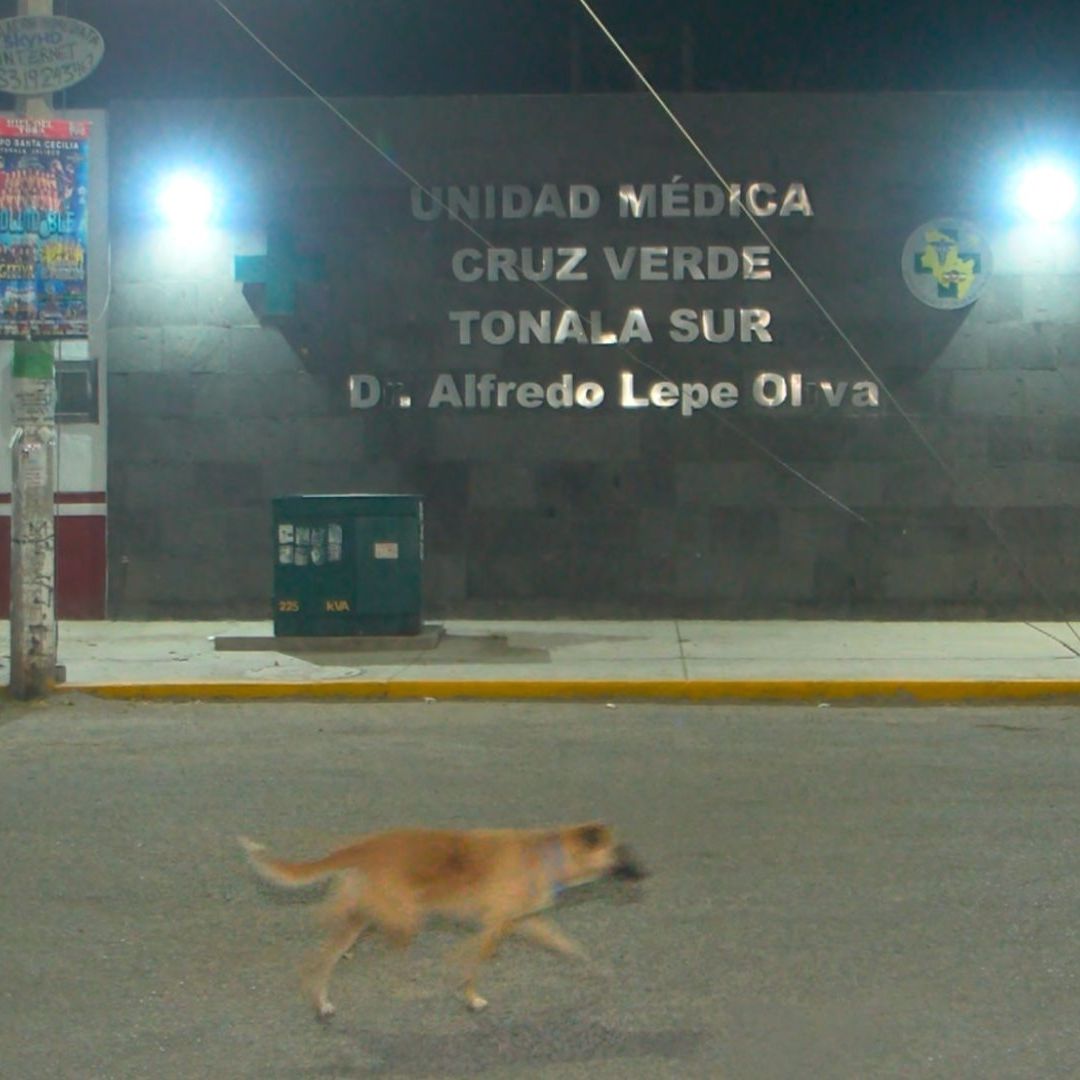 Apuñalan a joven tras alterar el orden público en Tlaquepaque.
