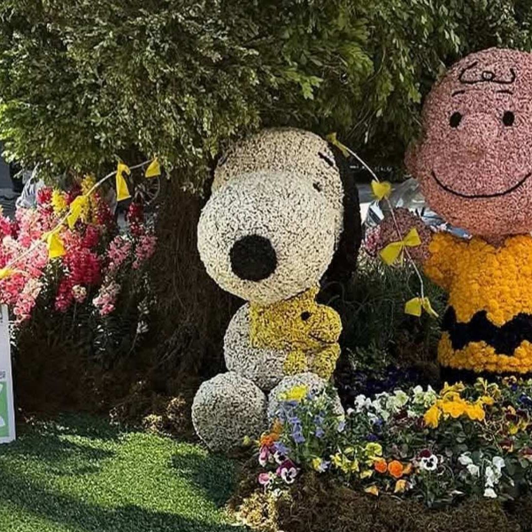 Así se veía en Snoopy en el Festival de las Flores CDMX 2025