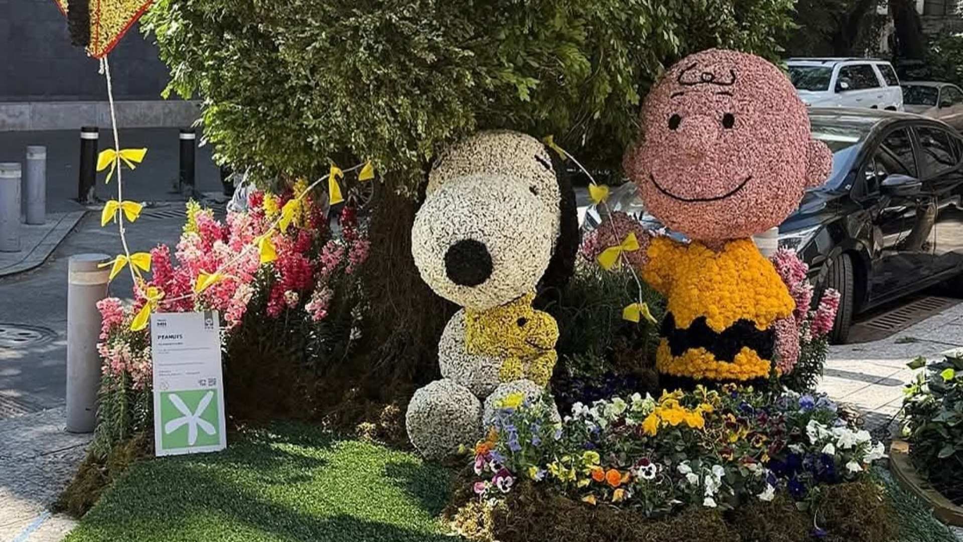 Así se veía en Snoopy en el Festival de las Flores CDMX 2025