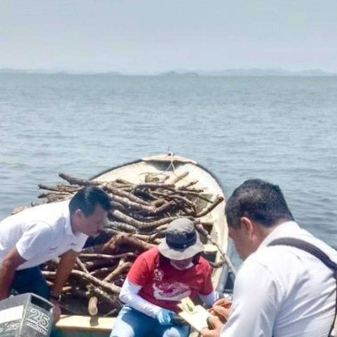 Viajar hacinados dentro de todo tipo de transportes y rutas son de las formas más peligrosas que usan los migrantes para cruzar clandestinamente México