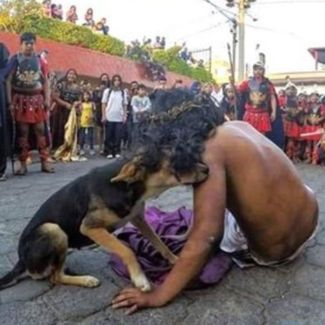 La imagen conmovió a usuarios de redes sociales. Foto: @ElGraficoGT