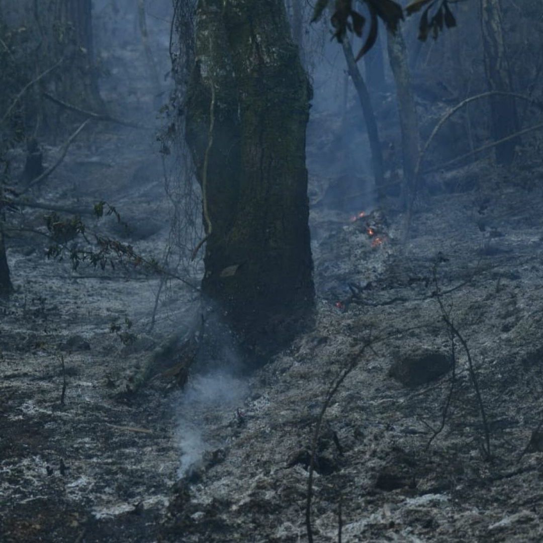 Podcast N+ | Incendios Forestales en México, Andrés Roemer, Semana Santa y Harry Potter
