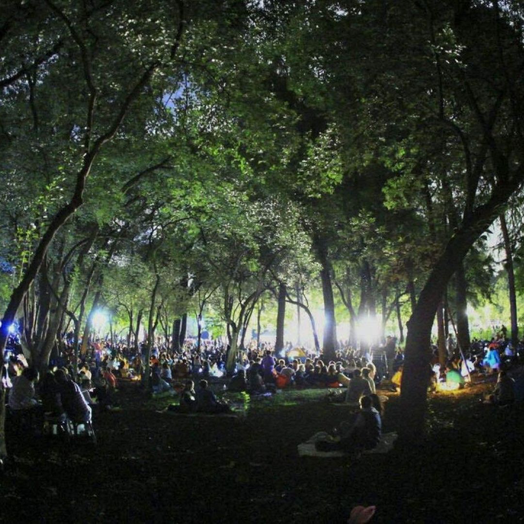 Habrá pícnic nocturno por el Festival del Bosque 2025