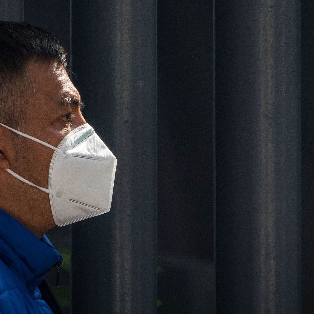 Conoce cómo se transmite la gripe aviar a humanos para evitar contagiarte con este tipo de virus