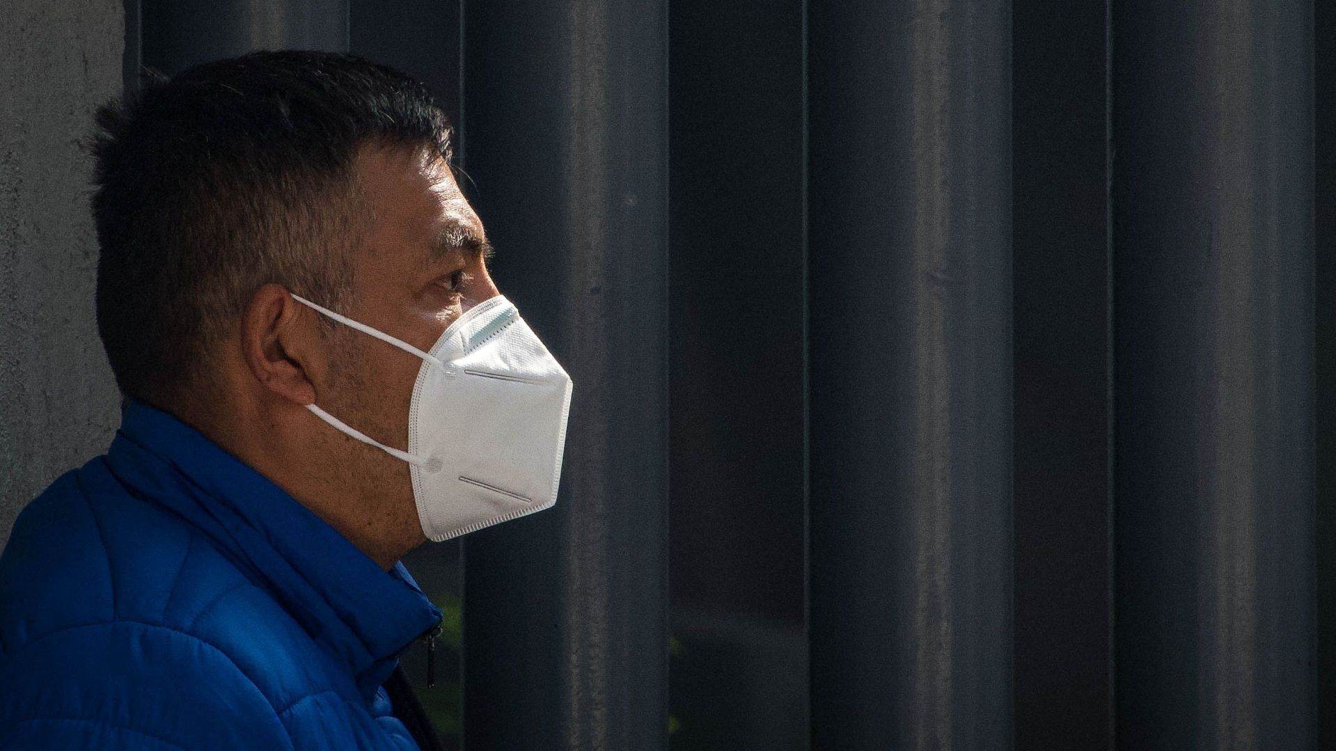 Conoce cómo se transmite la gripe aviar a humanos para evitar contagiarte con este tipo de virus