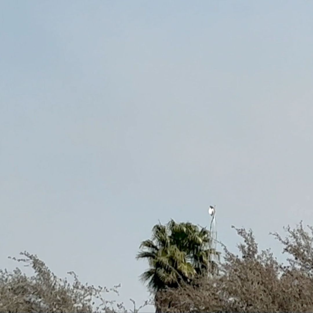 Estaciones de Monitoreo de Calidad del Aire en Tamaulipas No Funcionan