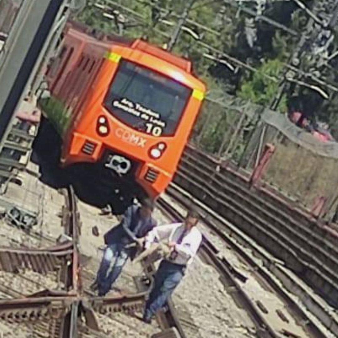 Un perrito fue rescatado en las vías de la Línea 12 del Metro