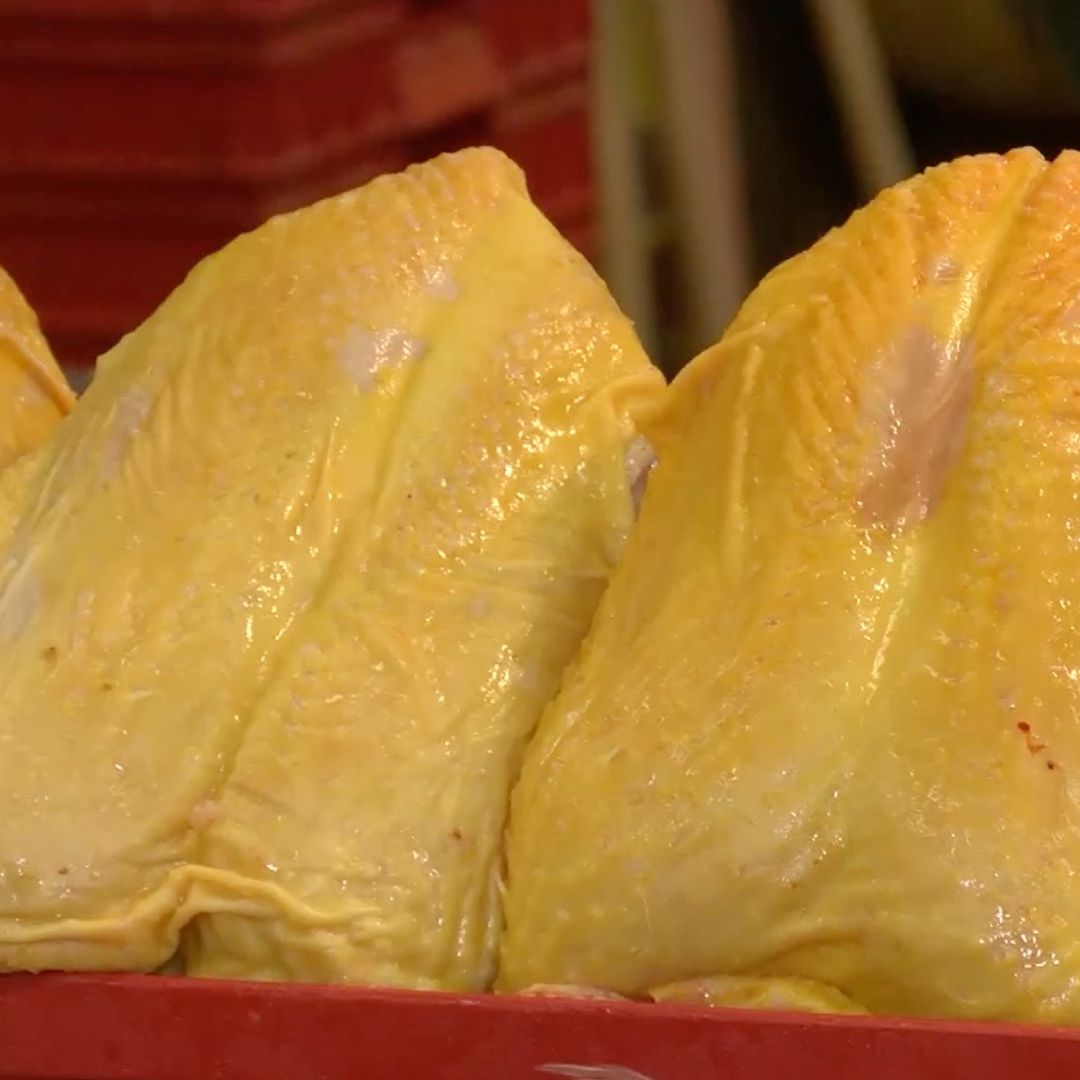 En el 94% de las 202 muestras de pollo, fueron halladas bacterias.