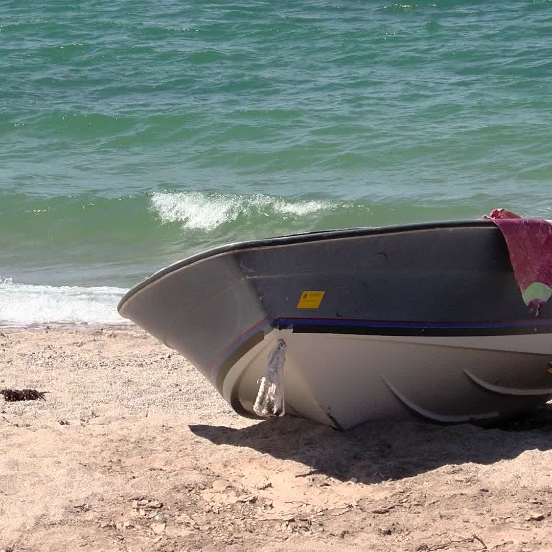 Detienen a Pescadores por Captura Ilegal de Totoaba en el Alto Golfo de California