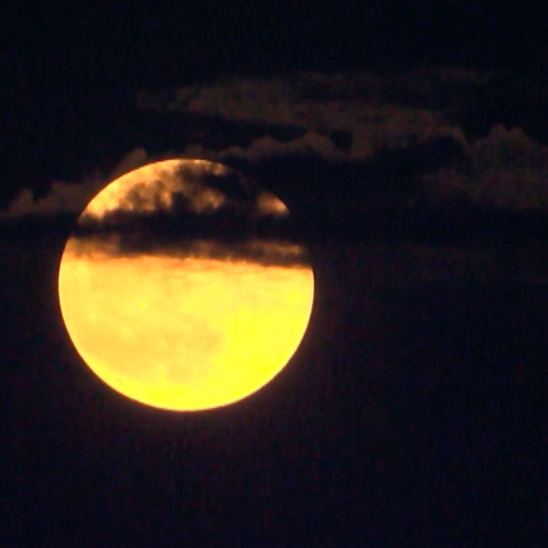 Será el próximo 12 de abril que habrá luna llena, a la que desde la antigüedad le llamaron luna rosa.