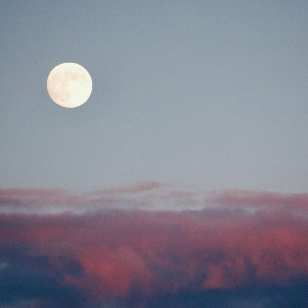 Por qué se llama así la Luna Rosa