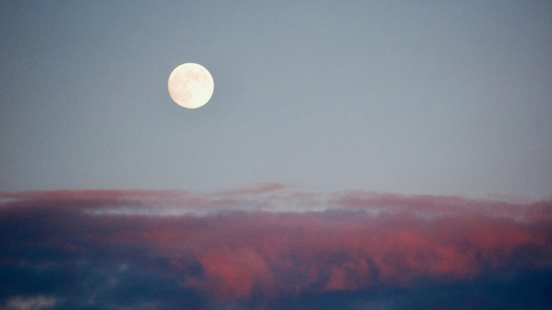 Por qué se llama así la Luna Rosa