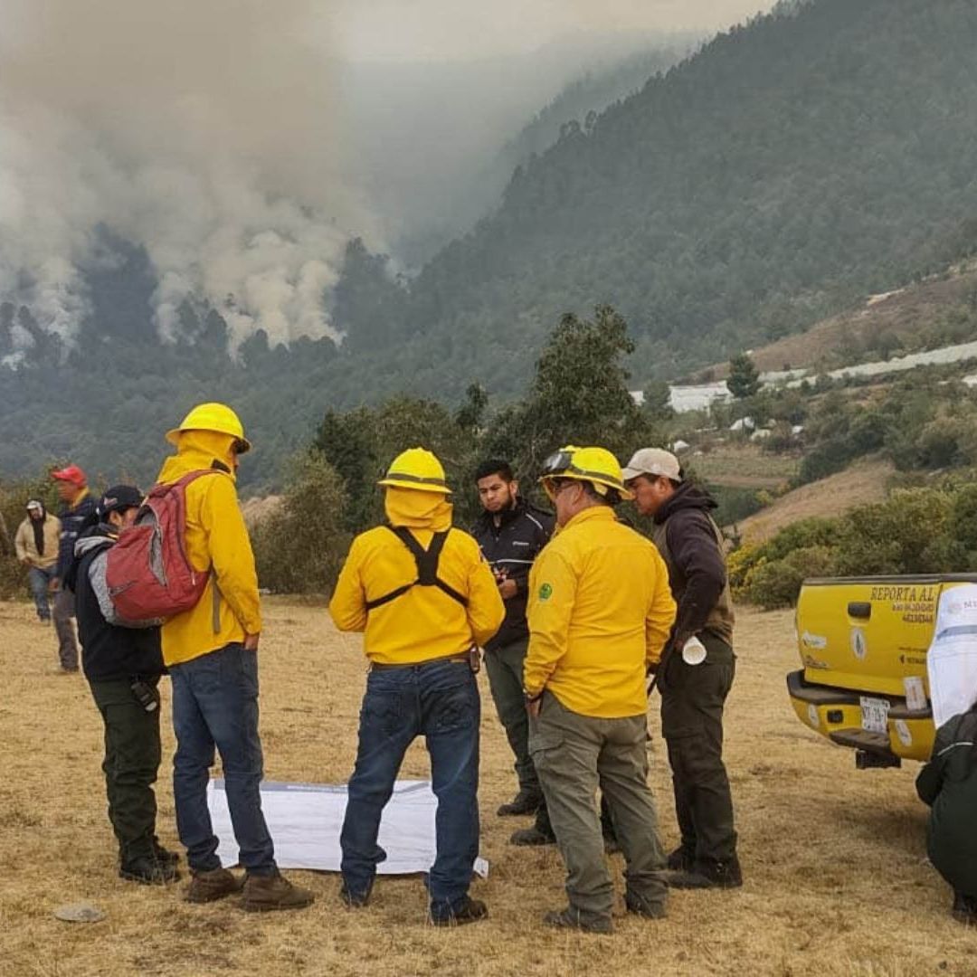 Combate de incendios forestales en Edomex