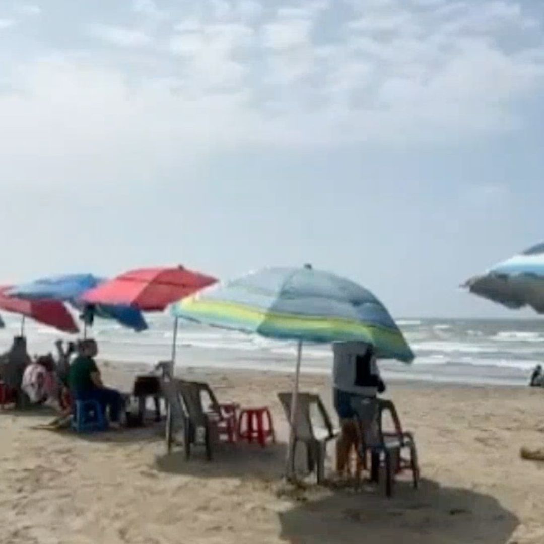 Semana Santa 2025. Playas de Veracruz Aptas y Limpias para Turistas Vacaciones Según COFEPRIS