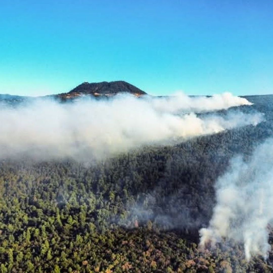 Incendios devoran hectáreas en el Tepozteco.
