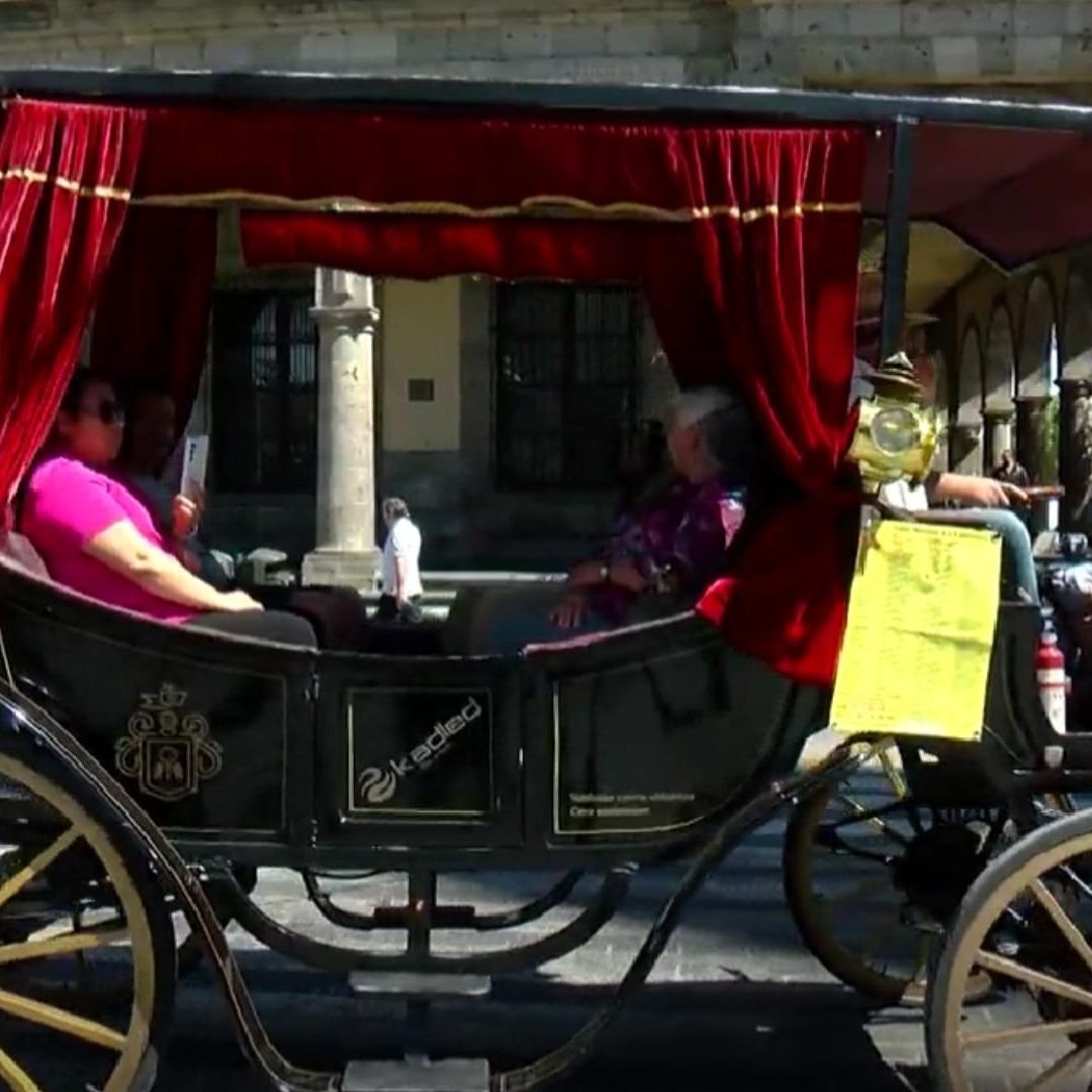 Ya No Se Usarán Caballos Para Operar las Calandrias en Guadalajara