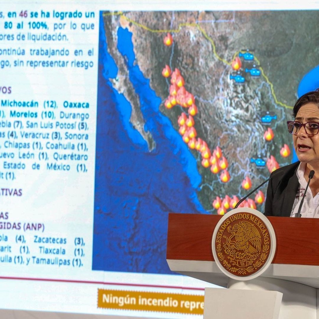 Se Registran 114 Incendios Forestales en el País; Ninguno Pone en Riesgo a Población: CNPC