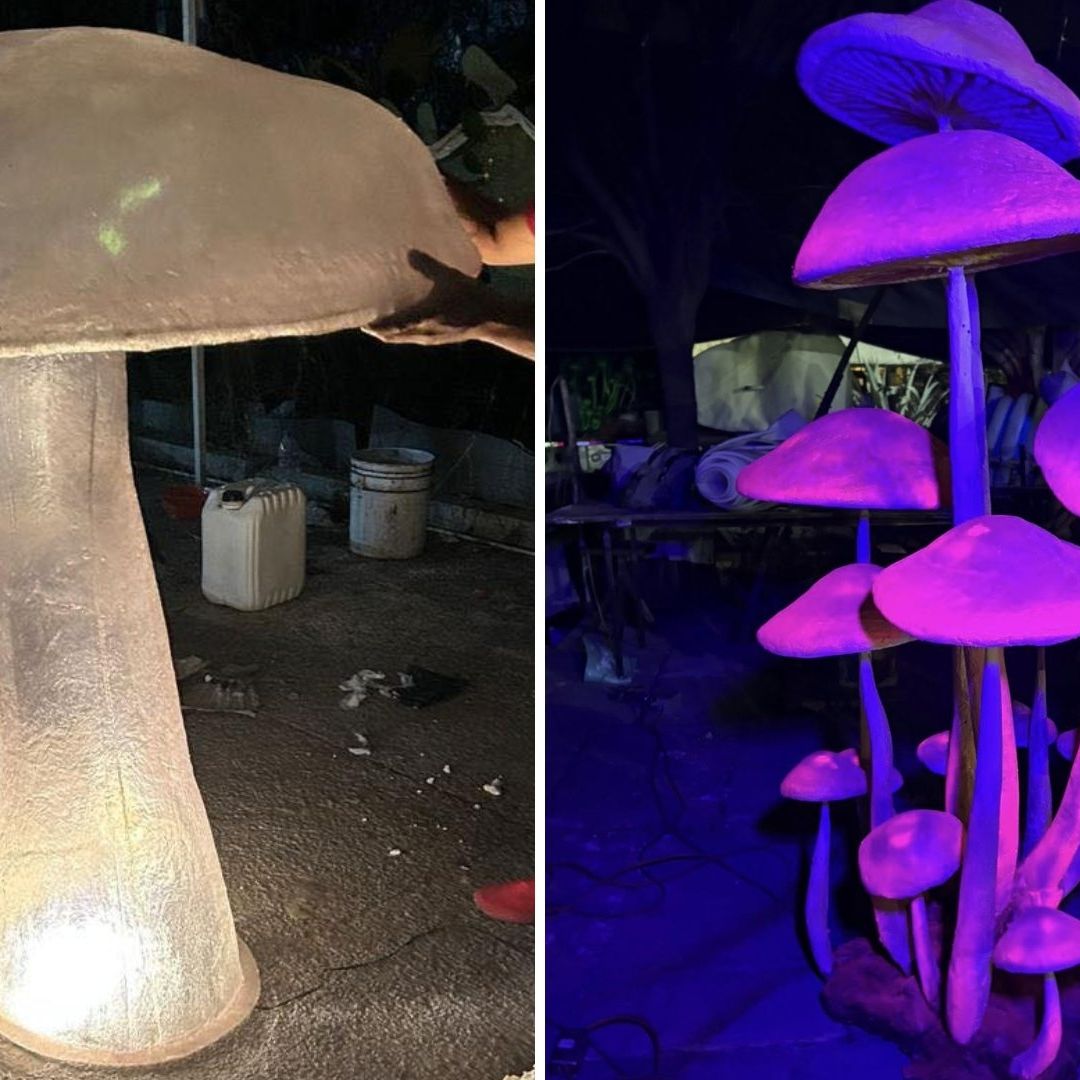 Así Serán los Hongos y Experiencia Bioluminiscente en Spora: Festival Bosque de Chapultepec 2025