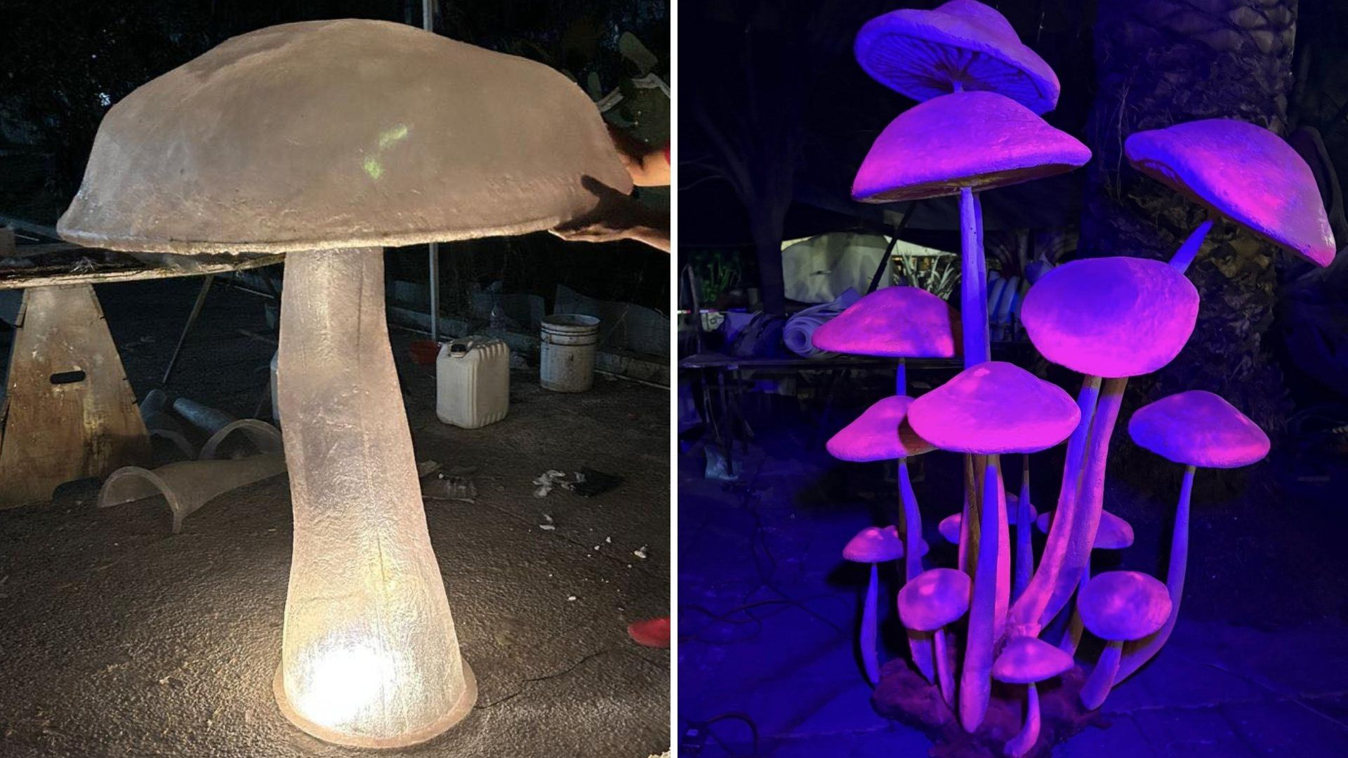 Así Serán los Hongos y Experiencia Bioluminiscente en Spora: Festival Bosque de Chapultepec 2025