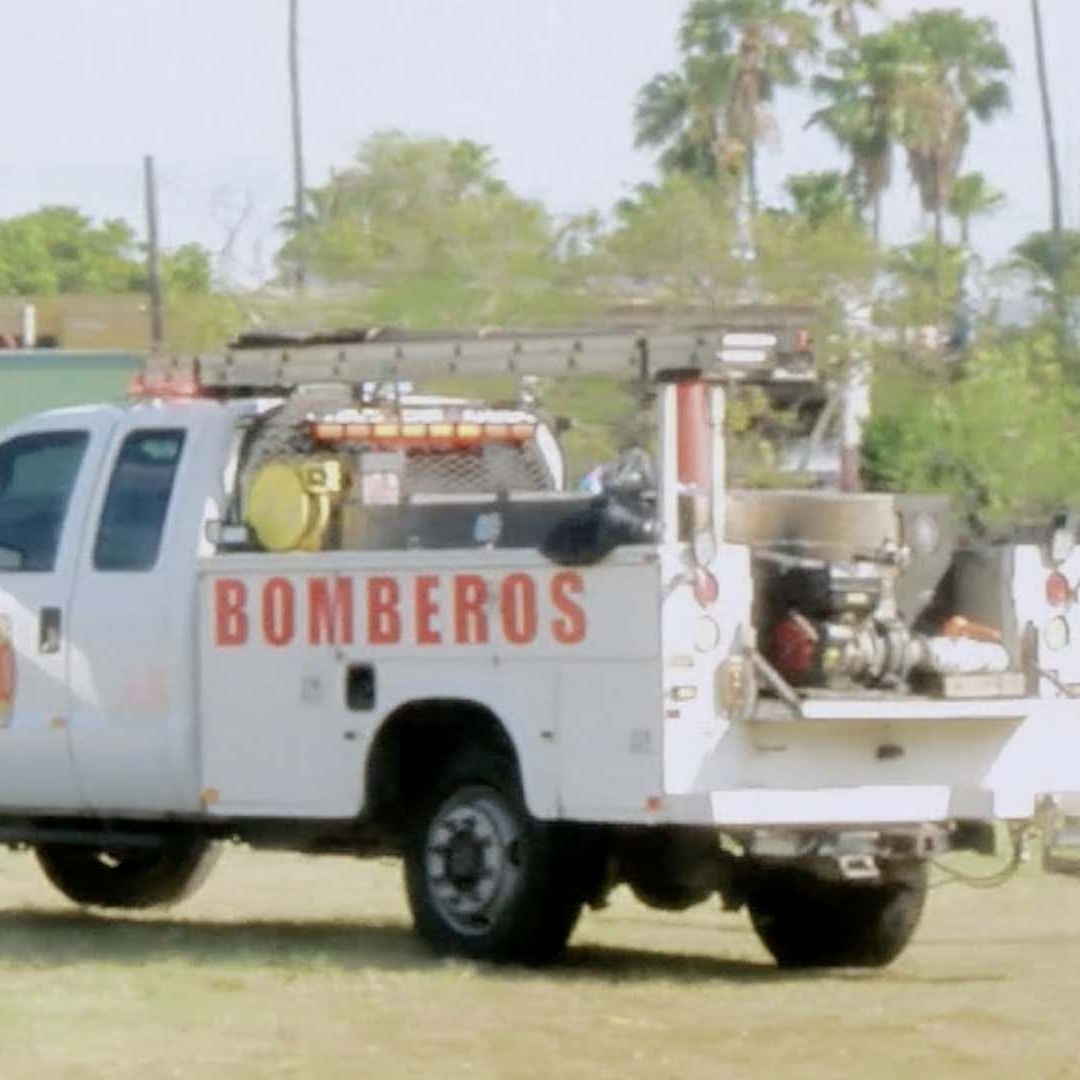 Ataque de Abejas Deja Cinco Menores Lesionados Durante Partido de Fútbol en Matamoros