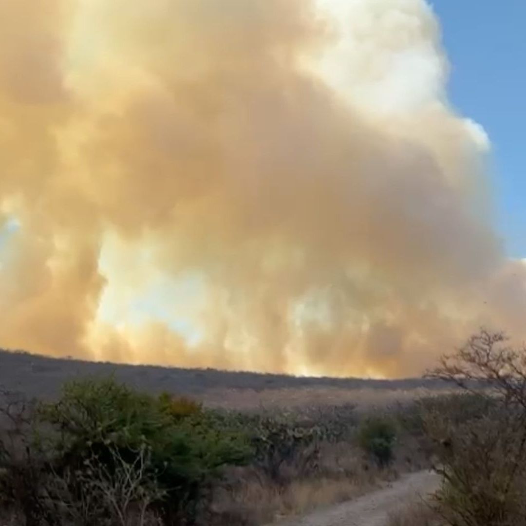 fuerte incendio zona cerril