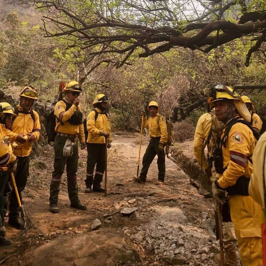 Brigadistas en Tierra Ayudarán a Combatir el Incendio en el Tepozteco