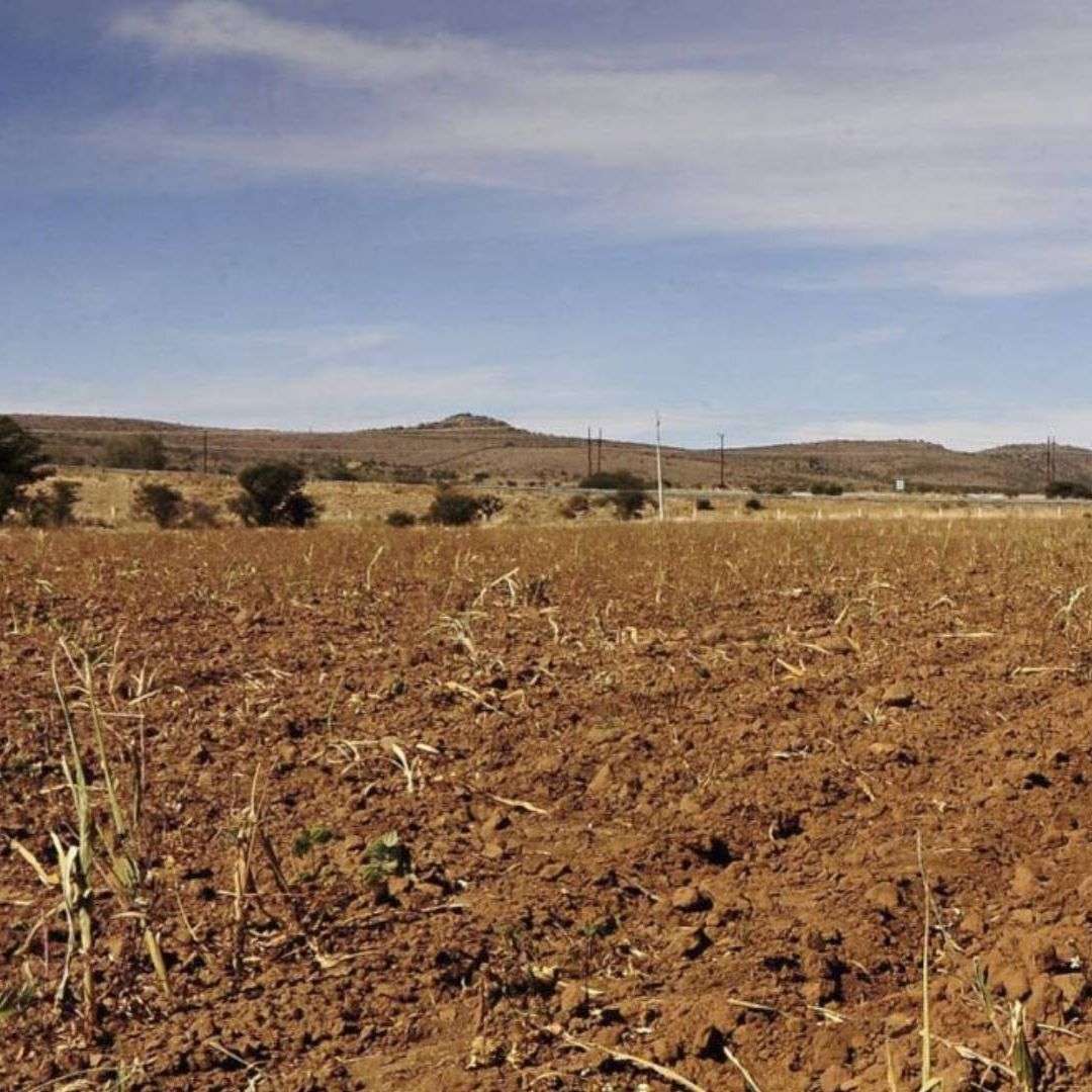 Sonora y Sinaloa Enfrentan una Severa Crisis Hídrica