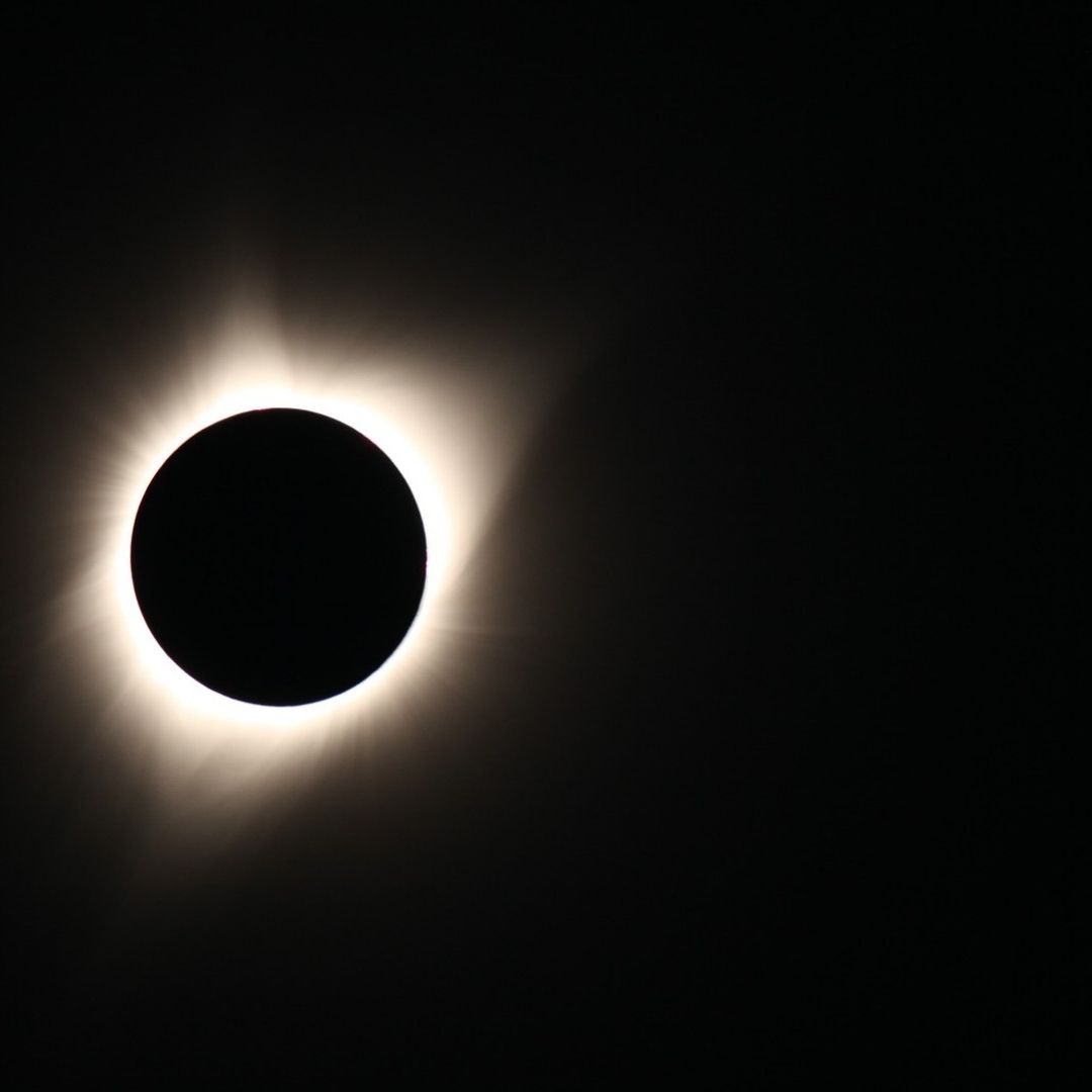 Artistas van a dar concierto en el Picnic de la UNAM por el Eclipse Solar 2024
