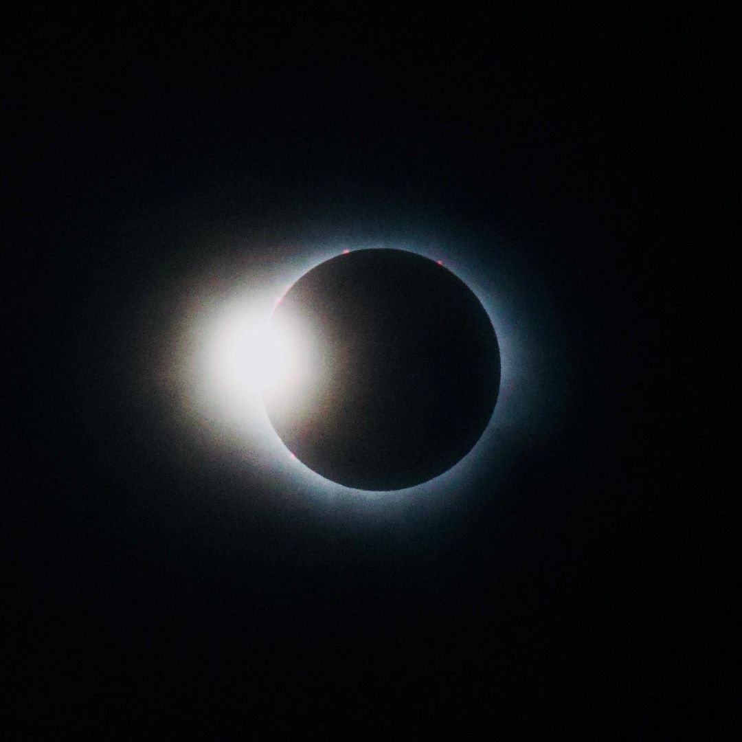 Comparten usuarios emoción por el eclipse solar 2024
