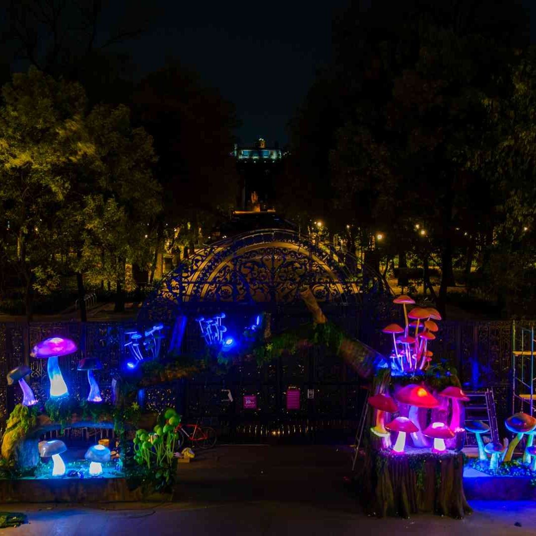 'Spora: Festival del Bosque 2025'